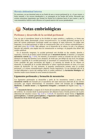 Hernia abdominal interna
En ocasiones, un asa intestinal entra en un fondo de saco o receso peritoneal (p. ej., el saco menor, o
bolsa omental, o los recesos duodenales) y se estrangula en los bordes del receso. Recuerde que
existen estructuras importantes que forman los límites de la abertura hacia el saco menor y que la
vena mesentérica inferior suele ubicarse en la pared anterior del receso paraduodenal.
Notas embriológicas
Peritoneo y desarrollo de la cavidad peritoneal
Una vez que el mesodermo lateral se ha dividido en capas somática y esplácnica, se forma una
cavidad entre ambas denominada celoma intraembrionario. La cavidad peritoneal emerge de la
parte del celoma embrionario localizado caudal con respecto al septo transverso. En etapas más
tempranas, la cavidad peritoneal se halla en comunicación libre con el celoma extraembrionario a
cada lado (véase fig. 6-35B). Más adelante, con el desarrollo de la cabeza, la cola y los pliegues
laterales del embrión, esta amplia área de comunicación se restringe a la pequeña área dentro del
cordón umbilical.
En el desarrollo temprano, la cavidad peritoneal está dividida en dos mitades, derecha e
izquierda, a través de un límite central formado por el mesenterio dorsal, el intestino y el pequeño
mesenterio ventral (fig. 7-18A). No obstante, el mesenterio ventral se extiende tan solo una corta
distancia a lo largo del intestino (véase después), de modo que, por debajo de este nivel, las mitades
derecha e izquierda de la cavidad peritoneal se encuentren en comunicación libre (véase 7-18B).
Como resultado del gran crecimiento del hígado y el aumento de tamaño de los riñones en
desarrollo, la capacidad de la cavidad abdominal se reduce significativamente en torno a la sexta
semana de desarrollo. En este momento, la pequeña comunicación restante entre la cavidad
peritoneal y el celoma extraembrionario adquiere mucha importancia. Un asa intestinal sale de la
cavidad abdominal a través del ombligo hacia el cordón umbilical. La herniación fisiológica del
intestino medio ocurre durante la sexta semana de desarrollo.
Ligamentos peritoneales y formación de mesenterios
Los ligamentos peritoneales se desarrollan a partir de los mesenterios ventral y dorsal. El
mesenterio ventral está formado por el mesodermo del septo transverso (derivado de los somitas
cervicales, que migran inferiormente). El mesenterio ventral está formado por el ligamento
falciforme, el omento menor y los ligamentos triangular y coronario del hígado (véase fig. 7-
18D).
El mesenterio dorsal se compone de la fusión del mesodermo esplacnicopleural en ambos lados
del embrión. Se extiende desde la pared posterior del abdomen hasta el borde posterior de la parte
abdominal del intestino (véanse figs. 6-35 y 7-18A,B). El mesenterio dorsal forma el ligamento
gastroesplénico, el omento gastroesplénico, el ligamento esplenorrenal, el omento mayor y los
mesenterios de los intesti nos grueso y delgado.
600
 