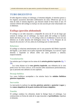 extiende inferiormente entre las capas anterior y posterior del pliegue del omento mayor.
TUBO DIGESTIVO
El tubo digestivo incluye el estómago, el intestino delgado, el intestino grueso y
los órganos accesorios derivados embrionarios de estos. Obsérvese que no se
trata de todo el sistema digestivo, que discurre desde la boca hasta el ano. El
extremo inferior del esófago se incluye en esta sección por estar relacionado con
el abdomen.
Esófago (porción abdominal)
El esófago es un tubo muscular y colapsable de cerca de 25 cm de largo que
conecta la laringe con el estómago. La mayor parte del esófago se localiza
dentro del tórax (véase cap. 5). El esófago entra en el abdomen a través de una
abertura en el pilar derecho del diafragma (véase fig. 4-11). Después de un
trayecto de cerca de 1,25 cm, entra en el estómago por su lado derecho.
Relaciones
El esófago se relaciona anteriormente con la cara posterior del lóbulo izquierdo
del hígado, y por detrás con el pilar izquierdo del diafragma. Los nervios vagos
derecho e izquierdo se ubican sobre sus caras posterior y anterior,
respectivamente.
Vascularización
Las arterias que lo irrigan son las ramas de la arteria gástrica izquierda (fig. 7-
20).
Las venas drenan en la vena gástrica izquierda, una tributaria de la vena
porta (véase las Notas clínicas, en la sección sobre anastomosis portosistémicas,
que se presenta más adelante en este capítulo).
Drenaje linfático
Los vasos linfáticos acompañan a las arterias hacia los nódulos linfáticos
gástricos izquierdos.
Inervación
La inervación la realizan los nervios gástricos anterior y posterior (vagos) y
los ramos simpáticos de la parte torácica del tronco simpático.
Función
El esófago conduce los alimentos desde la faringe hacia el estómago. Las
contracciones en forma de onda de la capa muscular, el peristaltismo, impulsan
el alimento.
603
 
