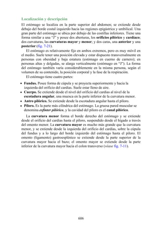 Localización y descripción
El estómago se localiza en la parte superior del abdomen; se extiende desde
debajo del borde costal izquierdo hacia las regiones epigástrica y umbilical. Una
gran parte del estómago se ubica por debajo de las costillas inferiores. Tiene una
forma similar a una “J” y posee dos aberturas, los orificios pilórico y cardíaco;
dos curvaturas, las curvaturas mayor y menor; y dos caras, una anterior y una
posterior (fig. 7-21).
El estómago es relativamente fijo en ambos extremos, pero es muy móvil en
el medio. Suele tener una posición elevada y estar dispuesto transversalmente en
personas con obesidad y baja estatura (estómago en cuerno de carnero); en
personas altas y delgadas, se alarga verticalmente (estómago en “J”). La forma
del estómago también varía considerablemente en la misma persona, según el
volumen de su contenido, la posición corporal y la fase de la respiración.
El estómago tiene cuatro partes:
Fundus. Posee forma de cúpula y se proyecta superiormente y hacia la
izquierda del orificio del cardias. Suele estar lleno de aire.
Cuerpo. Se extiende desde el nivel del orificio del cardias al nivel de la
escotadura angular, una muesca en la parte inferior de la curvatura menor.
Antro pilórico. Se extiende desde la escotadura angular hasta el píloro.
Píloro. Es la parte más cilíndrica del estómago. La gruesa pared muscular se
denomina esfínter pilórico, y la cavidad del píloro es el canal pilórico.
La curvatura menor forma el borde derecho del estómago y se extiende
desde el orificio del cardias hasta el píloro, suspendido desde el hígado a través
del omento menor. La curvatura mayor es mucho más grande que la curvatura
menor, y se extiende desde la izquierda del orificio del cardias, sobre la cúpula
del fundus y a lo largo del borde izquierdo del estómago hasta el píloro. El
omento (ligamento) gastroesplénico se extiende desde la parte superior de la
curvatura mayor hacia el bazo; el omento mayor se extiende desde la parte
inferior de la curvatura mayor hacia el colon transverso (véase fig. 7-11).
606
 