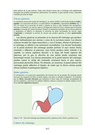parte inferior de la caja torácica. Todos estos factores hacen que el estómago esté ampliamente
protegido ante posibles traumatismos abdominales. No obstante, su gran tamaño lo hace vulnerable
a heridas por arma de fuego.
Úlcera gástrica
La membrana mucosa del cuerpo del estómago y, en menor medida, la del fundus producen ácido y
pepsina. Las secreciones del antro y el canal pilórico son mucosas y ligeramente alcalinas (fig. 7-
25). El control de la secreción de ácido y pepsina se lleva a cabo mediante dos mecanismos:
nervioso y hormonal. Los nervios vagos se encargan del control nervioso, mientras que la hormona
gastrina se encarga del control hormonal. Durante el tratamiento quirúrgico de las úlceras gástricas
y duodenales, el objetivo es disminuir la secreción de ácido seccionando los nervios vagos
(vagotomía) y extirpando la porción de mucosa que produce gastrina, el antro (gastrectomía
parcial).
Las úlceras gástricas se presentan en la mucosa del estómago que produce
álcali, habitualmente por encima o cerca de la curvatura menor. Las úlceras
crónicas invaden las capas musculares y, con el tiempo, afectan el peritoneo y
el estómago se adhiere a las estructuras circundantes. Las úlceras localizadas
en la pared posterior del estómago pueden perforar el saco menor (bolsa
omental) o adherirse al páncreas, cuya lesión produce dolor referido a la
espalda. La arteria esplénica discurre a lo largo del borde superior del
páncreas, por lo que la afección de esta arteria puede ocasionar una
hemorragia mortal. Las úlceras penetrantes en la pared anterior del estómago
pueden causar la salida del contenido estomacal hacia el saco mayor,
provocando peritonitis difusa. No obstante, en ocasiones, la pared anterior del
estómago puede adherirse al hígado, de modo que la úlcera crónica puede
afectar también el parénquima hepático.
Dolor gástrico
El estiramiento o la contracción espasmódica del músculo liso de las paredes del estómago puede
provocar una sensación de dolor en dicho órgano; este dolor es referido al epigastrio. Se considera
que las fibras viscerales aferentes que transmiten el dolor salen del estómago acompañadas de
nervios simpáticos. Atraviesan los nódulos linfáticos celíacos y alcanzan la médula espinal a través
de los nervios esplácnicos mayores.
Figura 7-25 Áreas del estómago que producen ácido y pepsina (azul) y álcali y gastrina (rojo).
Cáncer de estómago
612
 