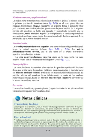 inferiormente y a la derecha hacia la unión ileocecal. La arteria mesentérica superior se localiza en la
raíz del mesenterio.
Membrana mucosa y papila duodenal
La mayor parte de la membrana mucosa del duodeno es gruesa. Si bien es lisa en
la primera porción del duodeno (véase fig. 7-28), en el resto posee diversos
pliegues denominados pliegues circulares. En el punto donde el conducto biliar
y el conducto pancreático principal penetran en la pared medial de la segunda
porción del duodeno, se halla una pequeña y redondeada elevación que se
conoce como papila duodenal mayor. De estar presente, el conducto pancreático
accesorio desemboca en una papila de menor tamaño del duodeno, cerca de 2 cm
por encima de la papila duodenal mayor.
Vascularización
La arteria pancreatoduodenal superior, una rama de la arteria gastroduodenal,
irriga la mitad superior (véanse figs. 7-20 y 7-26). La arteria
pancreatoduodenal inferior, que es una rama de la arteria mesentérica
superior, irriga la mitad inferior.
La vena pancreatoduodenal superior drena en la vena porta. La vena
inferior se une con la vena mesentérica superior (véase fig. 7-22).
Drenaje linfático
Los vasos linfáticos acompañan a las arterias. La porción superior del duodeno
drena por arriba hacia los nódulos linfáticos gastroduodenales, y después hacia
los nódulos linfáticos celíacos, a través de los nódulos pancreatoduodenales. La
porción inferior del duodeno drena inferiormente, a través de los nódulos
pancreatoduodenales, hacia los nódulos mesentéricos superiores alrededor de
la arteria mesentérica superior.
Inervación
Los nervios simpáticos y parasimpáticos (vagos) derivados de los plexos celíaco
y mesentérico superior inervan el duodeno.
Notas clínicas
Traumatismo duodenal
Con excepción de los primeros 2,5 cm, el duodeno está fijado por peritoneo a estructuras de la pared
posterior del abdomen; en consecuencia, no puede desplazarse en caso de lesiones por
aplastamiento. En casos de lesiones graves por aplastamiento de la pared anterior del abdomen, la
tercera porción del duodeno puede aplastarse o desgarrarse gravemente contra la vértebra L3.
Úlcera duodenal
A medida que el estómago vacía su contenido hacia el duodeno, el quimo, un producto ácido, es
expulsado hacia la pared anterolateral de la primera porción del duodeno. Se considera que este es
un factor relevante en el desarrollo de úlceras duodenales en la región. Las úlcera en la pared
anterior de los primeros 2,5 cm del duodeno pueden afectar la parte superior del saco mayor, sobre
619
 