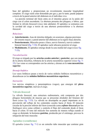 ANATOMIA SNELL 10MA EDICION ESPAÑOL.pdf