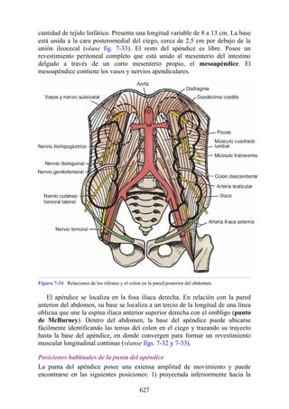 ANATOMIA SNELL 10MA EDICION ESPAÑOL.pdf