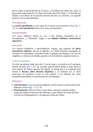 ANATOMIA SNELL 10MA EDICION ESPAÑOL.pdf