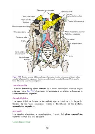 ANATOMIA SNELL 10MA EDICION ESPAÑOL.pdf