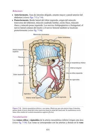 ANATOMIA SNELL 10MA EDICION ESPAÑOL.pdf