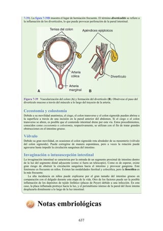 ANATOMIA SNELL 10MA EDICION ESPAÑOL.pdf