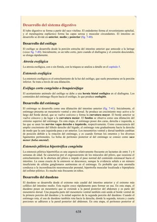 ANATOMIA SNELL 10MA EDICION ESPAÑOL.pdf