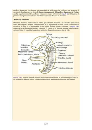 ANATOMIA SNELL 10MA EDICION ESPAÑOL.pdf