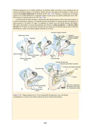 ANATOMIA SNELL 10MA EDICION ESPAÑOL.pdf