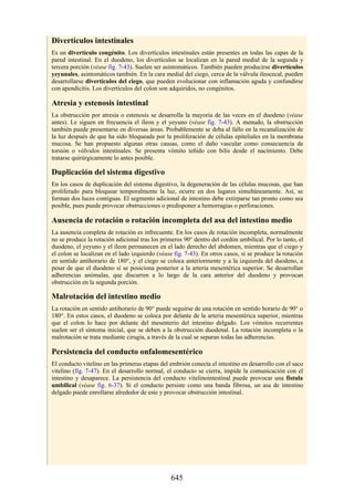 ANATOMIA SNELL 10MA EDICION ESPAÑOL.pdf
