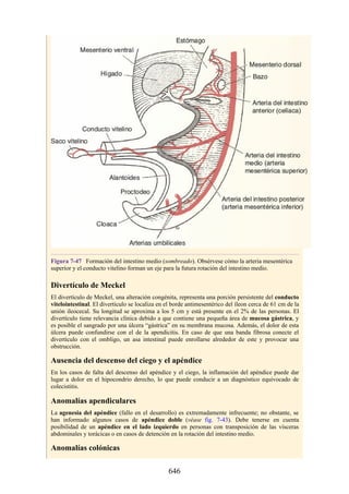 ANATOMIA SNELL 10MA EDICION ESPAÑOL.pdf