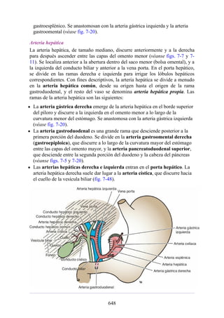 ANATOMIA SNELL 10MA EDICION ESPAÑOL.pdf