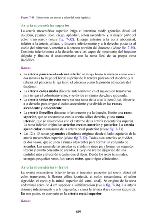 ANATOMIA SNELL 10MA EDICION ESPAÑOL.pdf