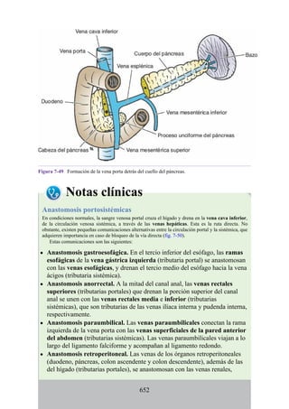 ANATOMIA SNELL 10MA EDICION ESPAÑOL.pdf