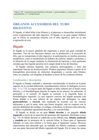 ANATOMIA SNELL 10MA EDICION ESPAÑOL.pdf