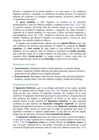 ANATOMIA SNELL 10MA EDICION ESPAÑOL.pdf