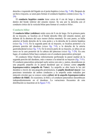 ANATOMIA SNELL 10MA EDICION ESPAÑOL.pdf