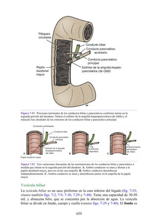 ANATOMIA SNELL 10MA EDICION ESPAÑOL.pdf
