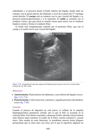 ANATOMIA SNELL 10MA EDICION ESPAÑOL.pdf