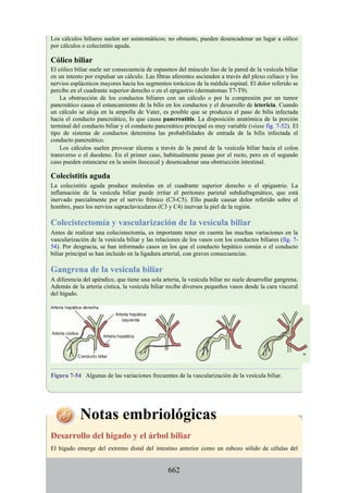 ANATOMIA SNELL 10MA EDICION ESPAÑOL.pdf