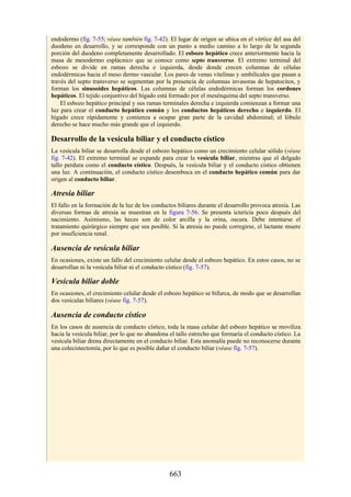 ANATOMIA SNELL 10MA EDICION ESPAÑOL.pdf