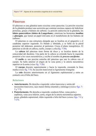 ANATOMIA SNELL 10MA EDICION ESPAÑOL.pdf