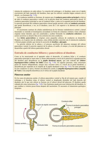 ANATOMIA SNELL 10MA EDICION ESPAÑOL.pdf