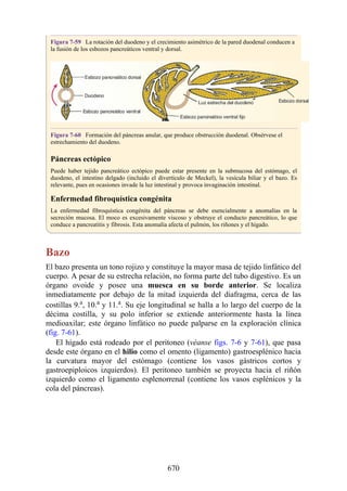 ANATOMIA SNELL 10MA EDICION ESPAÑOL.pdf