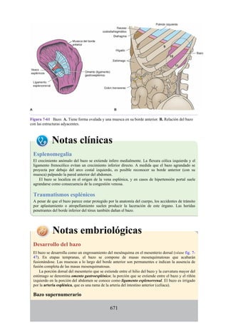 ANATOMIA SNELL 10MA EDICION ESPAÑOL.pdf