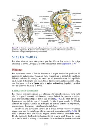 ANATOMIA SNELL 10MA EDICION ESPAÑOL.pdf