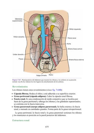ANATOMIA SNELL 10MA EDICION ESPAÑOL.pdf