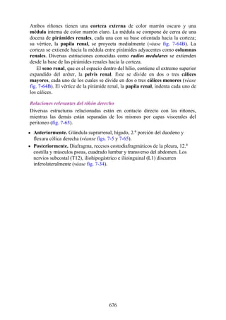 ANATOMIA SNELL 10MA EDICION ESPAÑOL.pdf