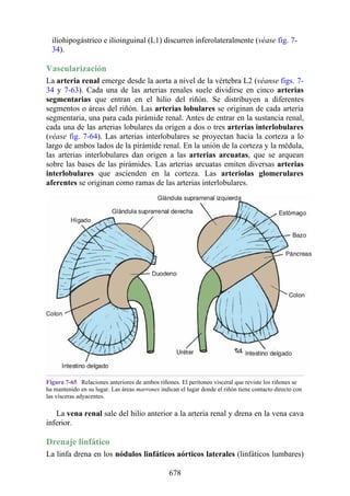 ANATOMIA SNELL 10MA EDICION ESPAÑOL.pdf