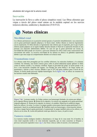 ANATOMIA SNELL 10MA EDICION ESPAÑOL.pdf