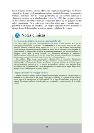 hacen sinapsis en ellos. Muchas aferencias viscerales discurren por los troncos
simpáticos, después por los nervios espinales a través de los ramos comunicantes
blancos, continúan por las raíces posteriores de los nervios espinales y
finalmente penetran en la médula espinal (véase fig. 1-22). Los cuerpos celulares
de las neuronas aferentes viscerales se localizan dentro de los ganglios de las
raíces posteriores. Otras aferencias viscerales viajan con el nervio vago y
penetran en el tronco del encéfalo. Los cuerpos celulares de estas neuronas se
ubican dentro de los ganglios sensitivos vagales en la base del cráneo.
Notas clínicas
Dermatomas: inervación segmentaria de la piel
Cada nervio espinal (y por ende cada segmento medular) inerva un área específica de la piel de
modo particularmente bien organizado. Un dermatoma es el área cutánea inervada por fibras
sensitivas somáticas de un solo nervio espinal (figs. 1-24 y 1-25). En el tronco, los dermatomas
forman un patrón relativamente sencillo en forma de bandas. En los miembros, la configuración de
los dermatomas es más compleja debido a las rotaciones embrionarias que ocurren conforme los
miembros crecen desde la pared corporal. Los dermatomas adyacentes se superponen
significativamente, sobre todo en el área del tronco. Para producir anestesia total en cualquier
dermatoma, es necesario seccionar al menos tres nervios espinales contiguos.
Los médicos deben poseer conocimientos prácticos sobre la inervación dermatómica
(segmentaria) de la piel, pues comprender el mapa dermatómico podrá ayudarles a determinar con
mayor facilidad si el componente sensitivo de un nervio o segmento particular de la médula espinal
funciona de manera adecuada (p. ej., la ausencia de sensibilidad cutánea a nivel del pezón suele
relacionarse con un problema que afecta principalmente al cuarto nervio espinal torácico/raíz
posterior del nervio/segmento de la médula espinal).
Inervación muscular segmentaria
El músculo esquelético también presenta un patrón de inervación segmentaria. La mayoría de los
músculos reciben inervación de dos, tres o cuatro nervios espinales (a través de plexos) y por el
mismo número de segmentos de la médula espinal. Por lo tanto, la paralización completa de un
músculo determinado implica la lesión de varios nervios espinales o varios segmentos de la médula
espinal.
68
 