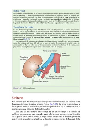 ANATOMIA SNELL 10MA EDICION ESPAÑOL.pdf