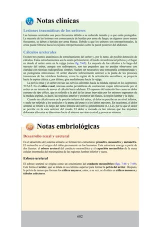 ANATOMIA SNELL 10MA EDICION ESPAÑOL.pdf