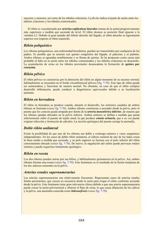 ANATOMIA SNELL 10MA EDICION ESPAÑOL.pdf