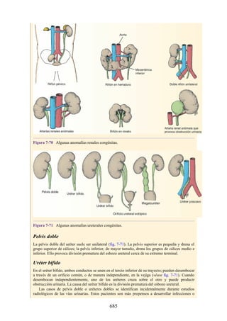 ANATOMIA SNELL 10MA EDICION ESPAÑOL.pdf