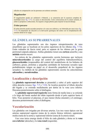 ANATOMIA SNELL 10MA EDICION ESPAÑOL.pdf