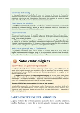 ANATOMIA SNELL 10MA EDICION ESPAÑOL.pdf