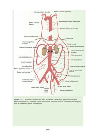 ANATOMIA SNELL 10MA EDICION ESPAÑOL.pdf