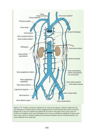 ANATOMIA SNELL 10MA EDICION ESPAÑOL.pdf