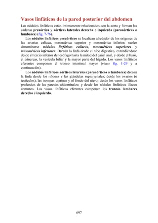 ANATOMIA SNELL 10MA EDICION ESPAÑOL.pdf