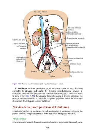 ANATOMIA SNELL 10MA EDICION ESPAÑOL.pdf