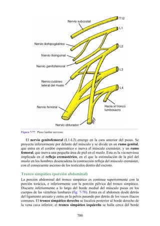 ANATOMIA SNELL 10MA EDICION ESPAÑOL.pdf