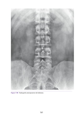 ANATOMIA SNELL 10MA EDICION ESPAÑOL.pdf