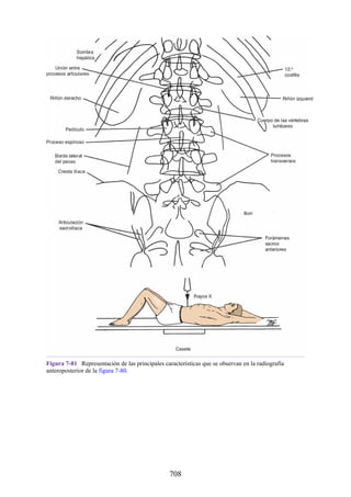 ANATOMIA SNELL 10MA EDICION ESPAÑOL.pdf