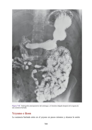 ANATOMIA SNELL 10MA EDICION ESPAÑOL.pdf